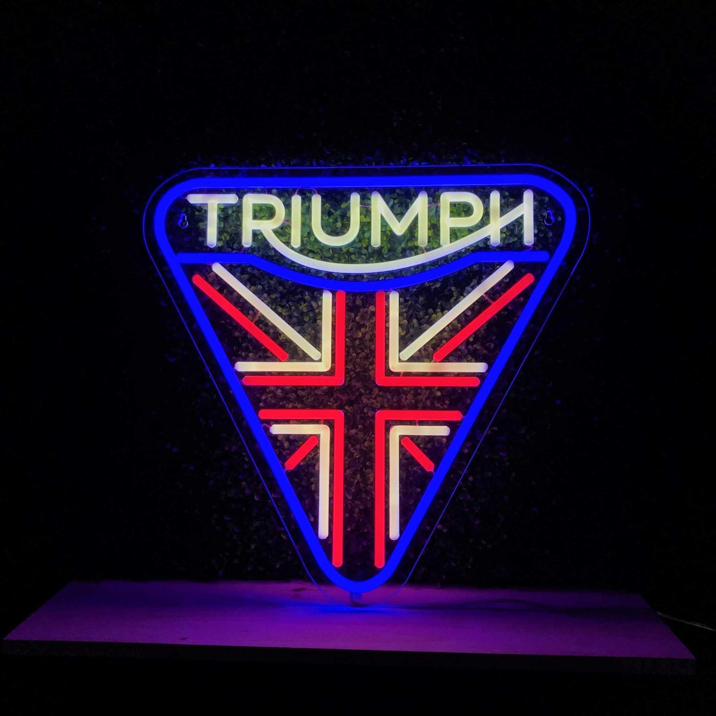 Triumph Motorcycles Neon Sign - Front Side